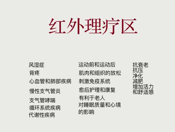 奥斯特碳红外理疗系统