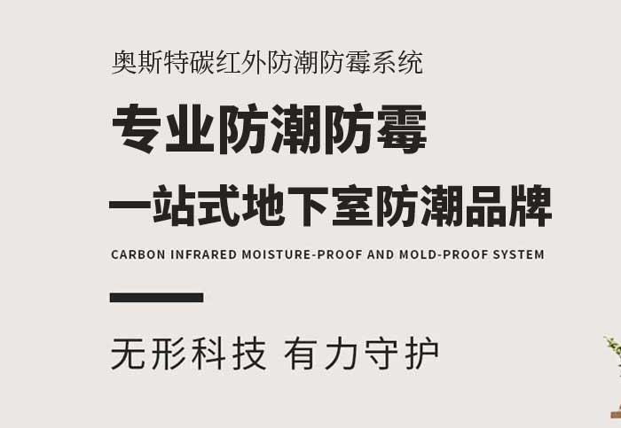 从承诺到交付：奥斯特防潮一站式健康空间打造服务全流程