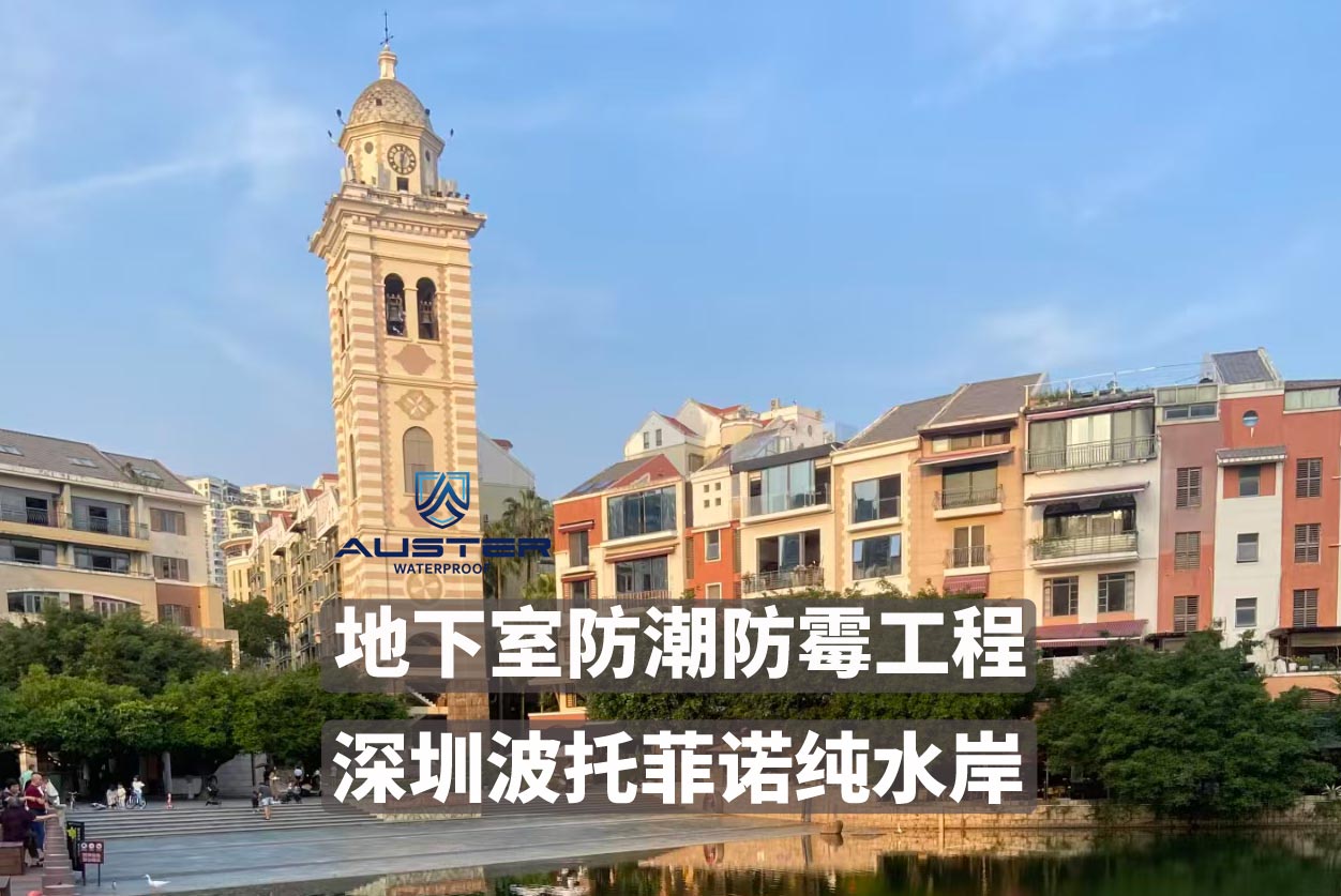 深圳市波托菲诺纯水岸地下室防水防潮防霉工程