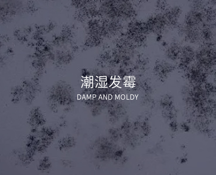奥斯特碳红外防潮可以实现智能防潮除霉，解决潮湿发霉问题